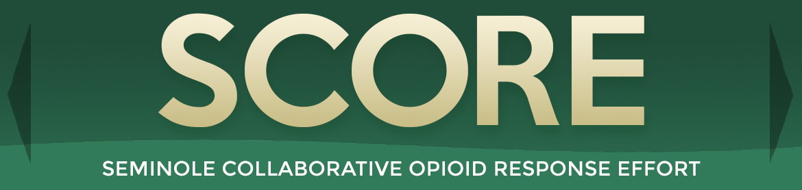 seminole collaborative opioid response efforts
