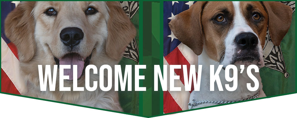 agency welcomes 2 new k9's